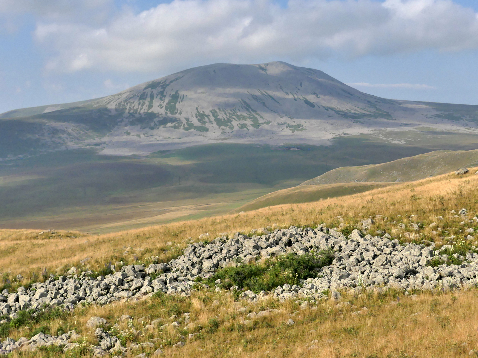 Vipera d. darevskii habitat Vladimirovka (3)